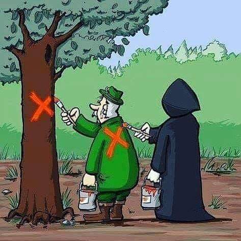 FB_IMG_1559025796237 (002)