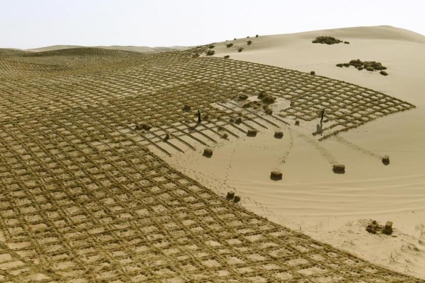 Cina, barriera ecologica in costruzione per prevenire la desertificazione