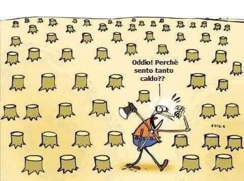 FB_IMG_1564950449816