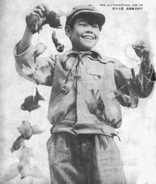 3. China's Anti-Sparrow Campaign