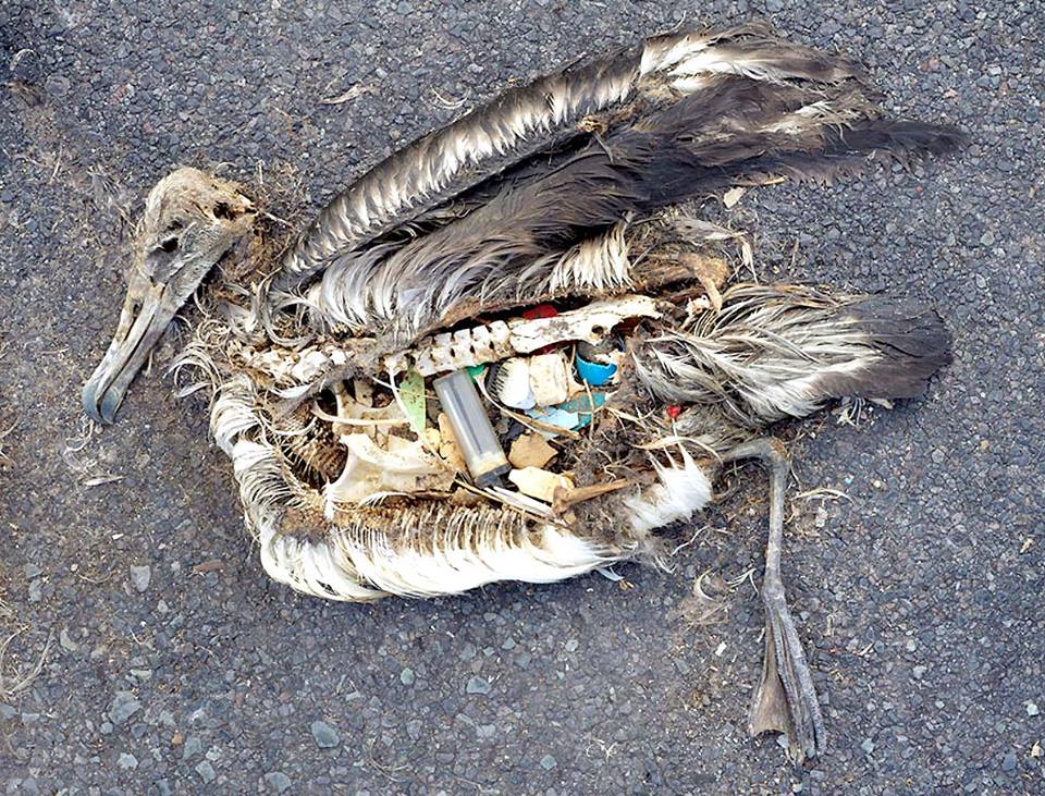 4. The Age of Plastic